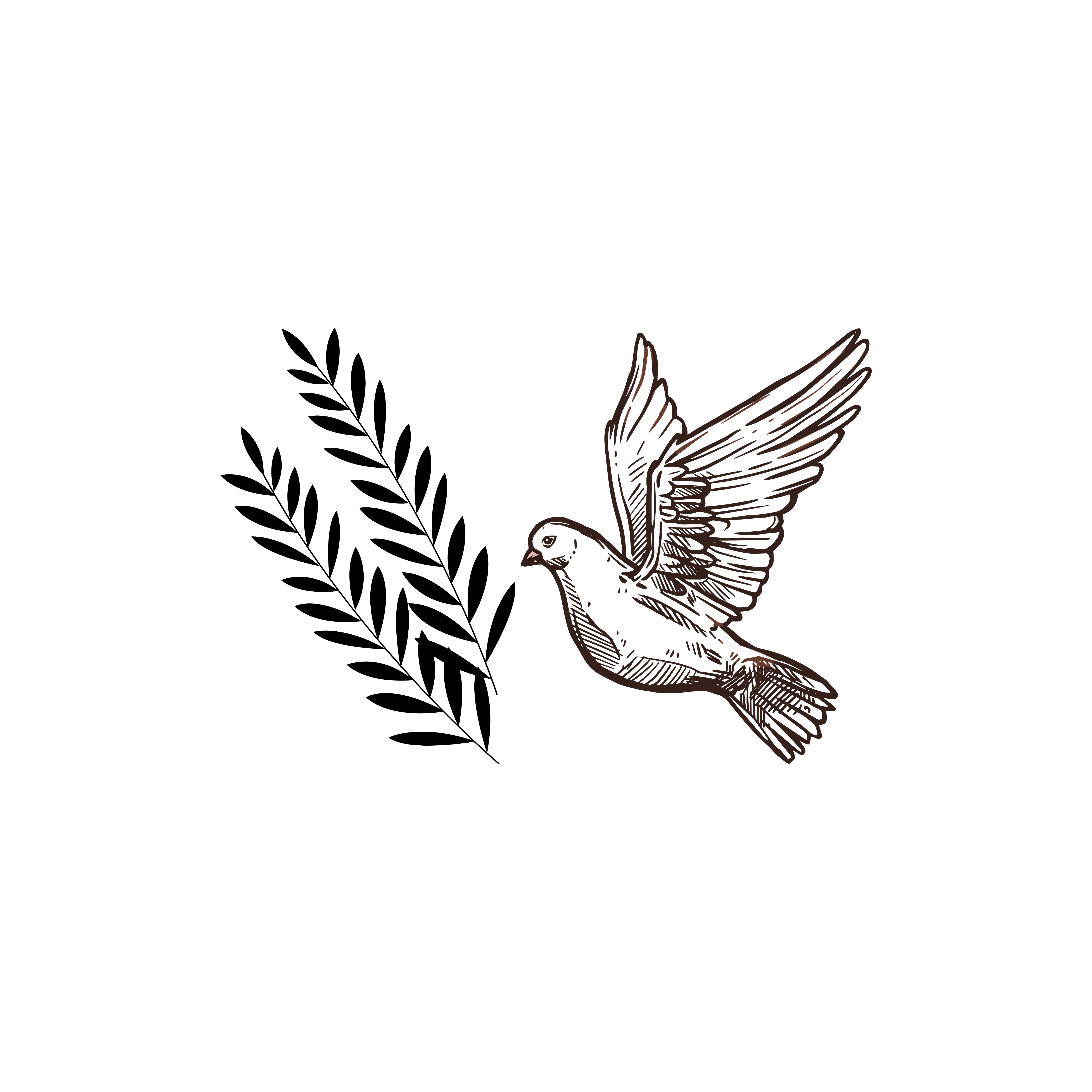 Dove with Olive Branch