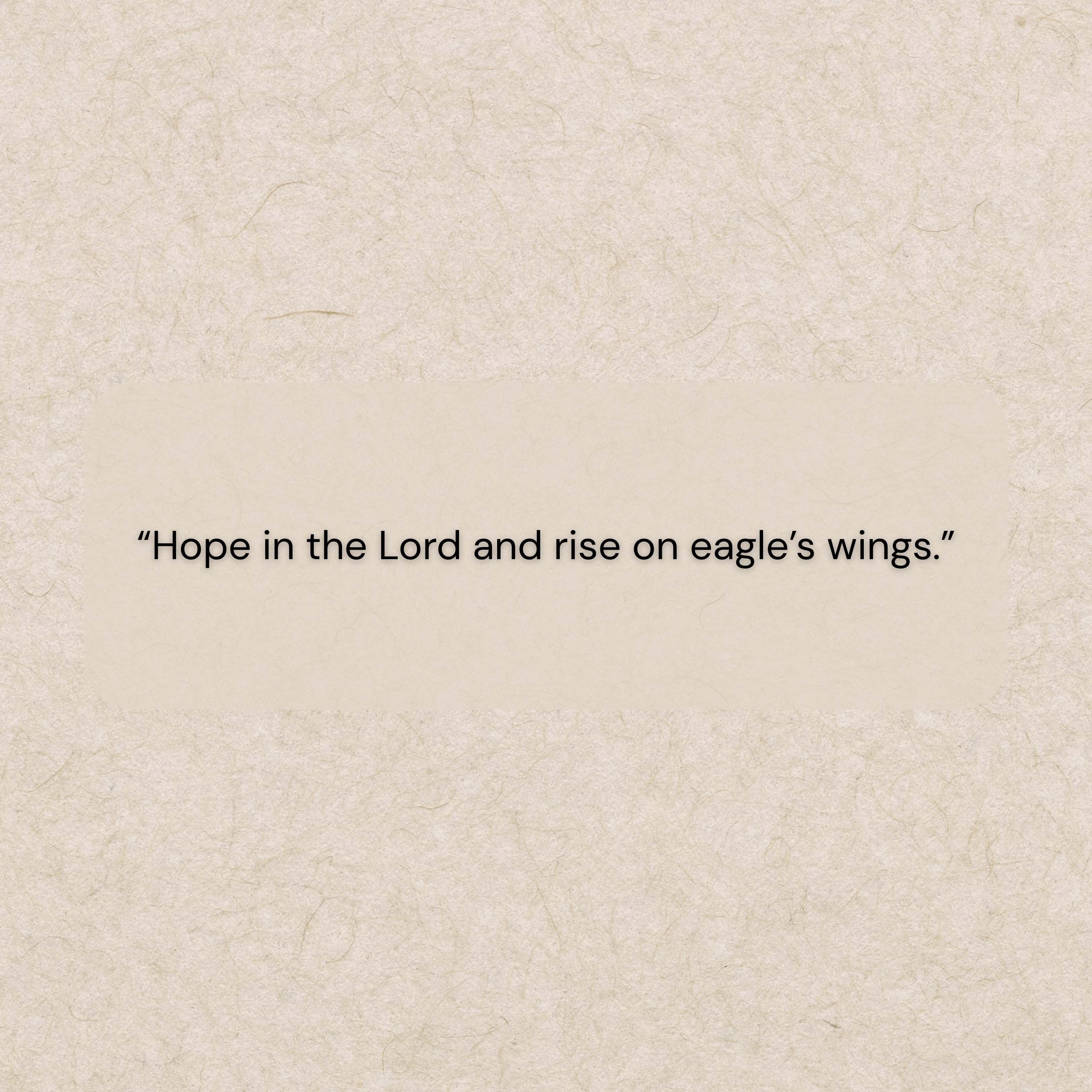 Hope in the Lord and rise on eagle’s wings