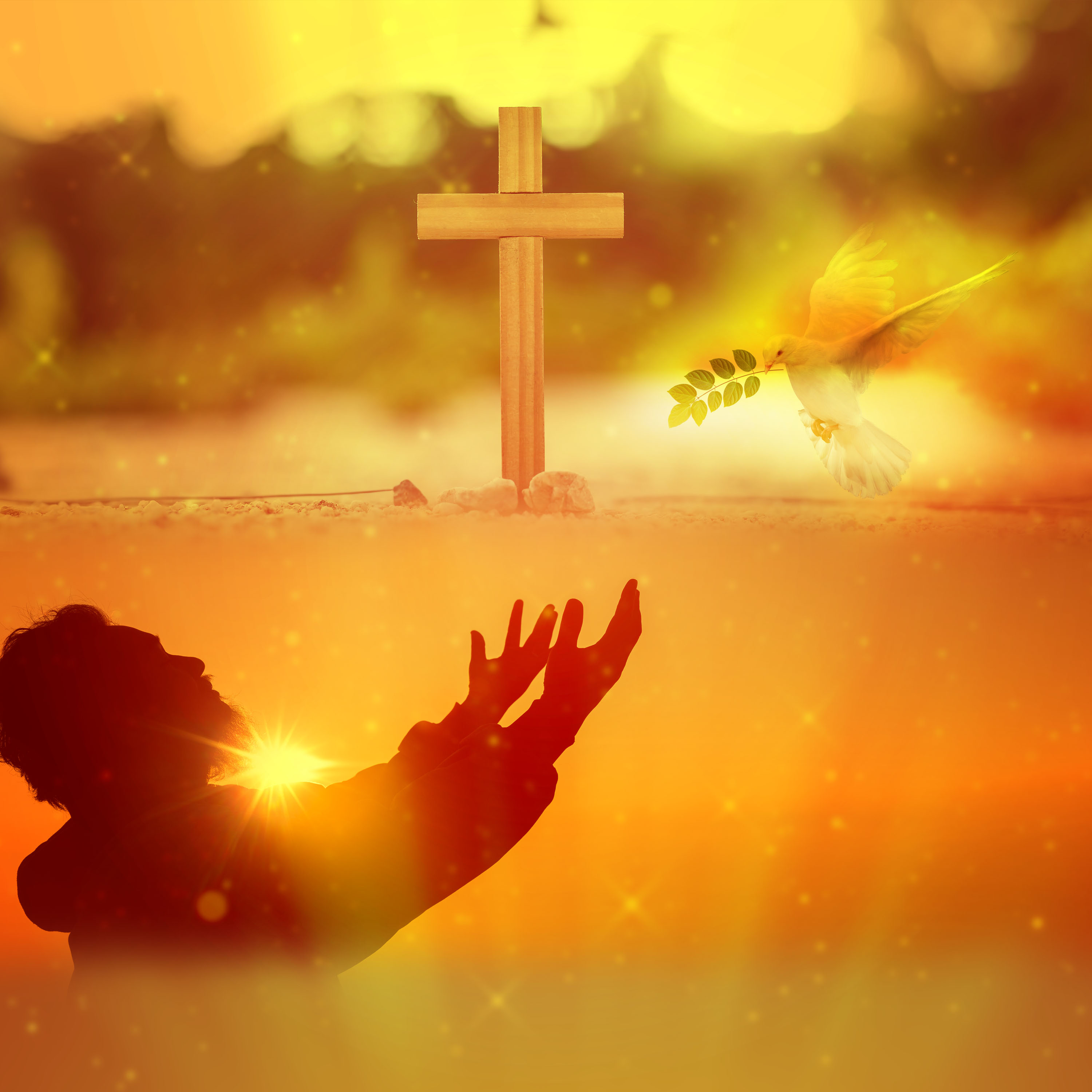 Surrender and Peace in Christ